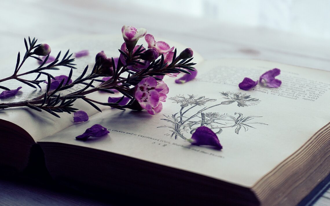 Kwiaty leżące na książce